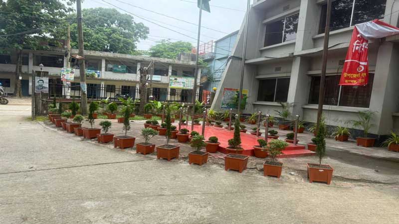 সবুজের সমারোহ
