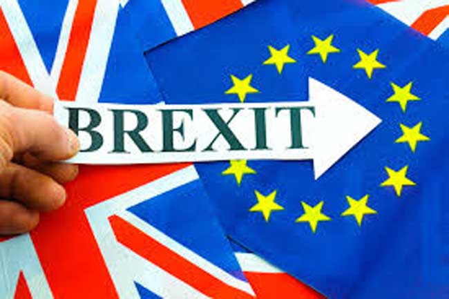 British growth to almost halve next year amid Brexit: EU British growth to almost halve next year amid Brexit: EU