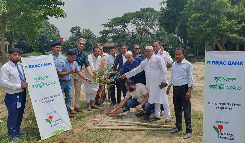 বিলুপ্তপ্রায় জাতের গাছ সংরক্ষণের উদ্যোগ নিয়েছে ব্র্যাক ব্যাংক