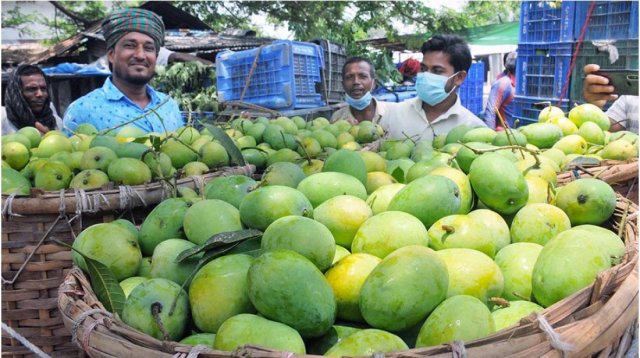 বাজারে গোপালভোগ আম : মণ ১৬০০-২০০০ টাকা