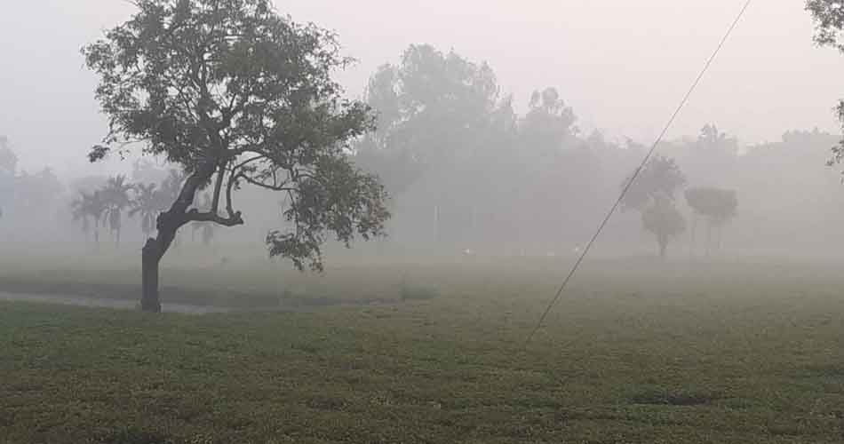 পঞ্চগড়ে সন্ধ্যা হলেই নামছে শীত