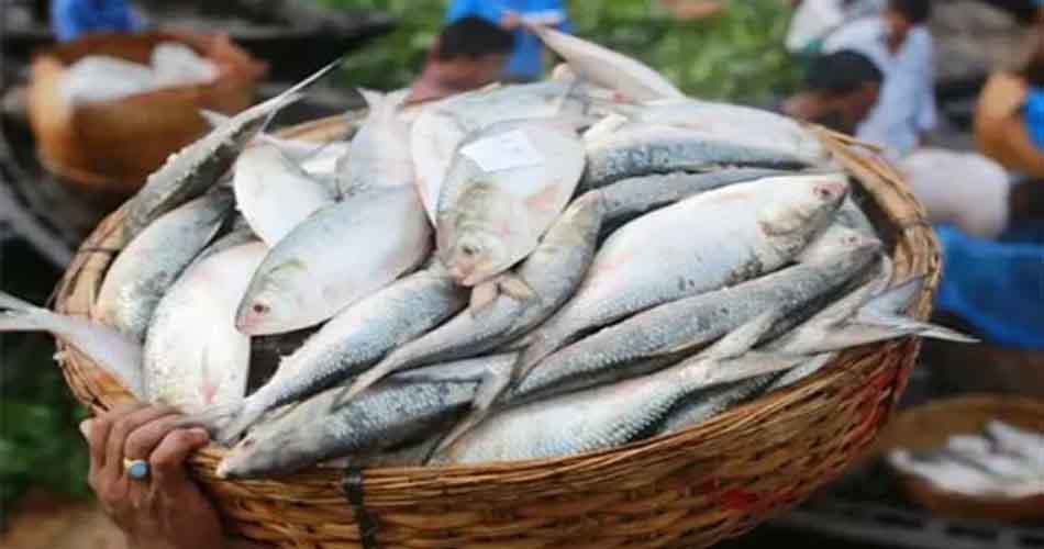 কলকাতার বাজারে বাংলাদেশের ইলিশ
