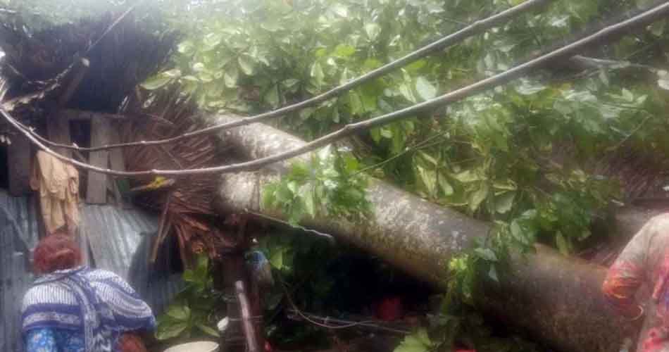 ঘূর্ণিঝড় মিধিলির প্রভাবে প্রাণ গেল ৭ জনের
