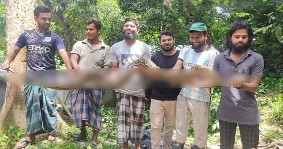 চবিতে ১১ ফুট অজগর উদ্ধার
