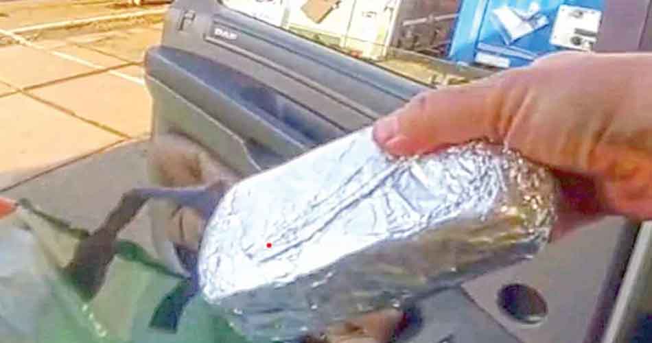 স্যান্ডউইচের দাম ৯৫ লাখ টাকা!