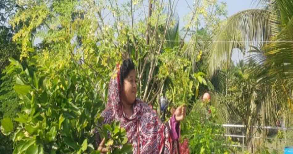 ছাদের শাকসবজি বেচে ফারহানার মাসে আয় ৩০ হাজার