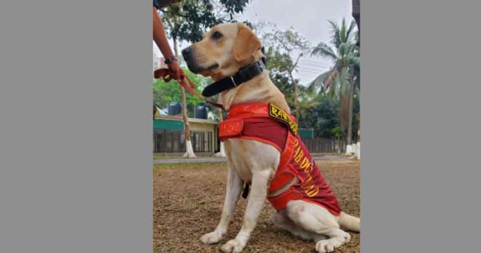 বীরত্বপূর্ণ কাজের জন্য পদক পেল র‍্যাবের কুকুর ‘চিতা’