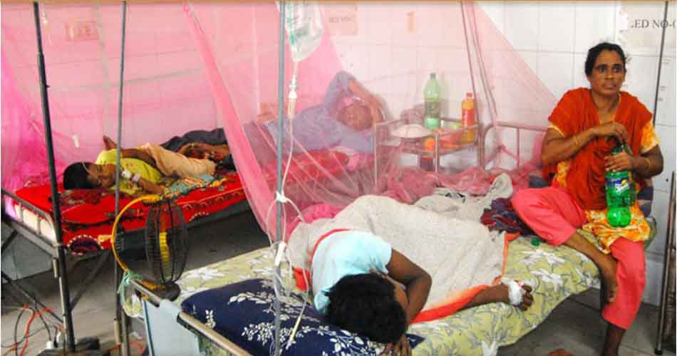 ডেঙ্গুতে আরো ৯ মৃত্যু, হাসপাতালে ১৯৬০ ডেঙ্গুতে আরো ৯ মৃত্যু, হাসপাতালে ১৯৬০