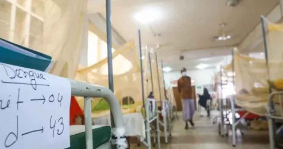 ডেঙ্গুতে সাতজনের মৃত্যু, হাসপাতালে ১০৯৪ ডেঙ্গুতে সাতজনের মৃত্যু, হাসপাতালে ১০৯৪