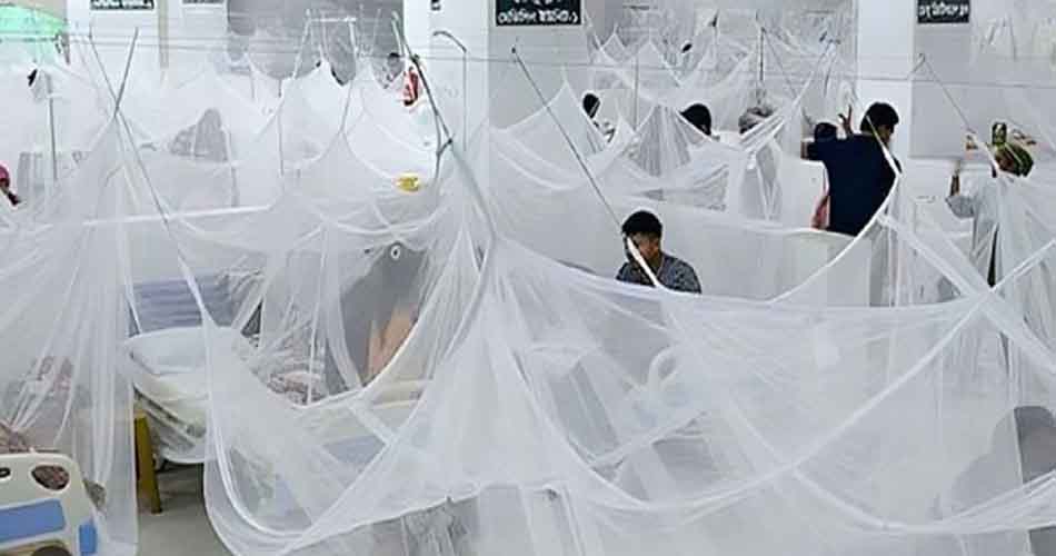 ডেঙ্গুতে আরো ৪ মৃত্যু, হাসপাতালে ৪১৩