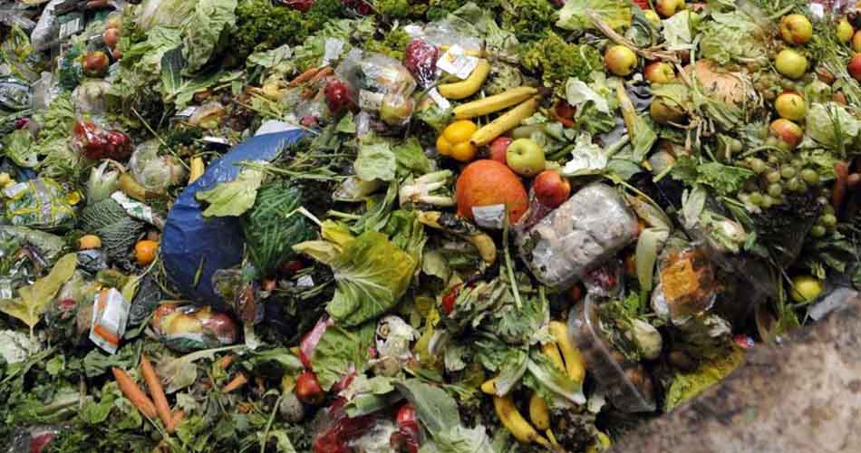 প্রতিদিন নষ্ট হয় ১০০ কোটি মানুষের খাবার: জাতিসংঘ