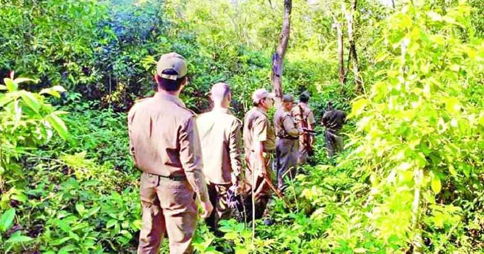 ৭৮ জন ফরেস্টার নেবে বন অধিদপ্তর