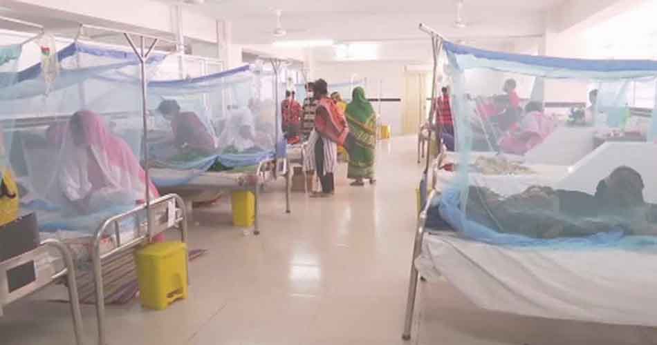 চলতি বছর ডেঙ্গু আক্রান্তের সংখ্যা ২ লাখ ছাড়াল চলতি বছর ডেঙ্গু আক্রান্তের সংখ্যা ২ লাখ ছাড়াল