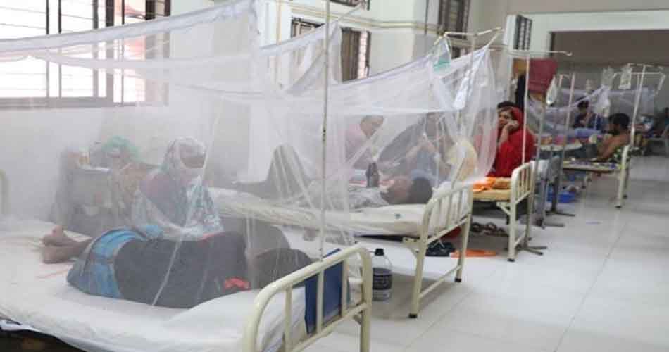ডেঙ্গুতে ১৭ দিনে ৬০ জনের প্রাণহানি