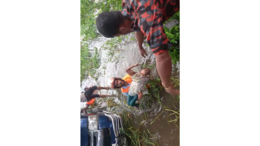 মাইক্রোবাস খালে পড়ে একই পরিবারের ৭জনের মৃত্যু