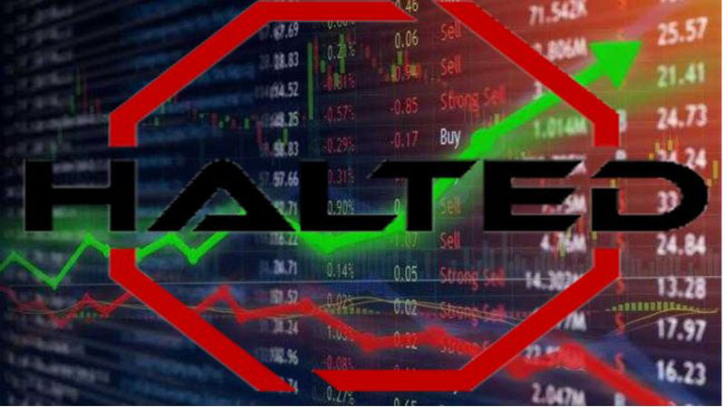 বিক্রেতা সঙ্কটে হল্টেড ৫ কোম্পানি—দর বাড়ল প্রধান শেয়ারবাজারে