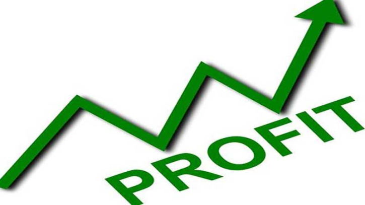 পতনের বাজারে দুই কোম্পানির মুনাফা ঝলক