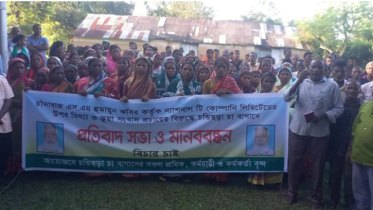 মিথ্যা প্রচারের প্রতিবাদ জানিয়েছে ন্যাশনাল টি কোম্পানি