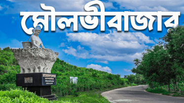 কমলগঞ্জে পানিতে ডুবে শিশুর মৃত্যু