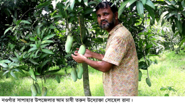 ভালো দাম পেয়ে খুশি নওগাঁর চাষিরা