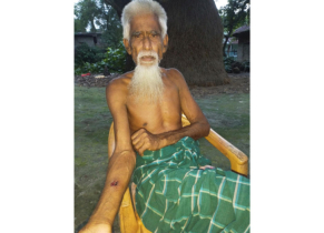 নওগাঁয় গ্রামে হঠ্যাৎ শিয়ালের হানা, আহত ১০, এলাকায় আতঙ্ক