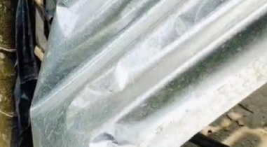 নেত্রকোণায় হামলা-লুটপাটের মামলা করায় বাদিকে হুমকি