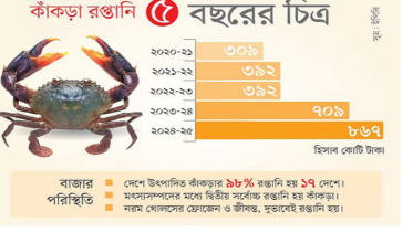 পাঁচ বছরে তিনগুণ বেড়েছে কাঁকড়া রপ্তানি