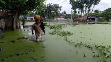 সাতক্ষীরায় টানা বৃষ্টিতে পানির নিচে ঘের ও সবজি ক্ষেত