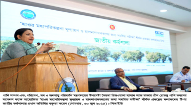 হাওড় মহাপরিকল্পনা চূড়ান্তে সবার মতামত নেয়া হবে:পানিসম্পদ উপদেষ্টা