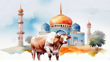 কোরবানি শুধু রক্ত নয়, তাকওয়ার সিঁড়ি—জেনে নিন এর ফজিলত ও তাৎপর্য