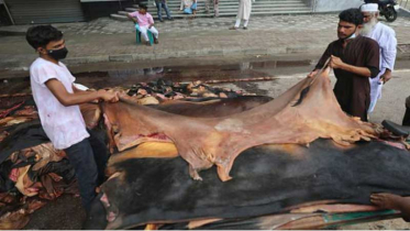 কোরবানির পশু কমেছে ৯১ লাখে, অবিক্রীত ৩৩ লাখ