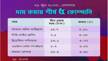 শেয়ারের বড় দরপতনে শীর্ষে যে পাঁচ কোম্পানি