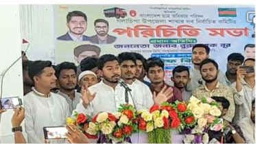 ডিসেম্বর-জানুয়ারিতে নির্বাচন চান নুরুল হক নূর