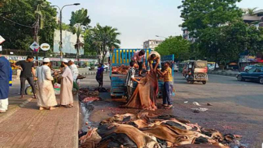 চামড়ায় সরকার নির্ধারিত দাম মিলছে না, লোকসানে মৌসুমি ব্যবসায়ীরা