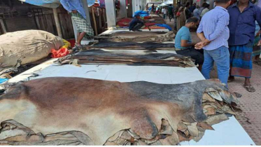 চামড়ার দেশে বিপরীত চিত্র: বছরে আমদানি ১,৫০০ কোটি টাকার চামড়া!