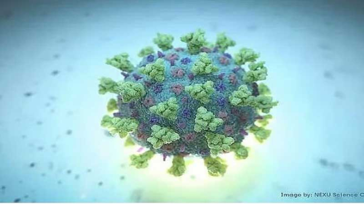 করোনার নতুন ধরন ছড়াচ্ছে ভারতে, ভ্রমণে সতর্কতা জারি বাংলাদেশের