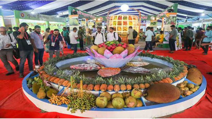 ঢাকার ফল মেলায় আম-কাঁঠালের বাহার, চমক চেরি-সরফিগুলা ঢাকার ফল মেলায় আম-কাঁঠালের বাহার, চমক চেরি-সরফিগুলা