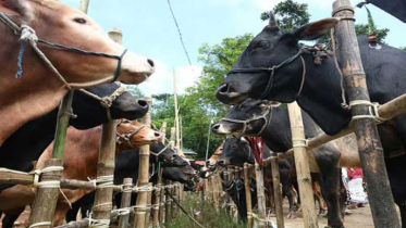 ঢাকা উত্তরের ১০ হাটের মধ্যে চূড়ান্ত হয়েছে মাত্র ২টি!