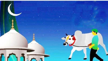 কোরবানির মৌসুমে তাকওয়া, ত্যাগ আর কর্মসংস্থানের উৎসব