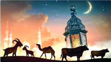 কোরবানির পশু নির্বাচনে শরিয়তের সতর্কতা