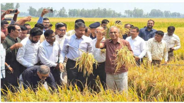 কৃষিজমি রক্ষায় আসছে নতুন আইন: উপদেষ্টা