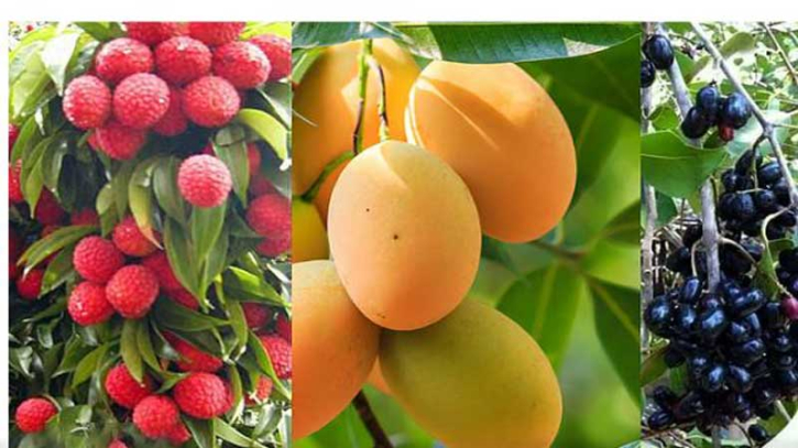 গ্রীষ্মের মিষ্টি ফল—কী পরিমাণে খাবেন আম, লিচু ও জাম?