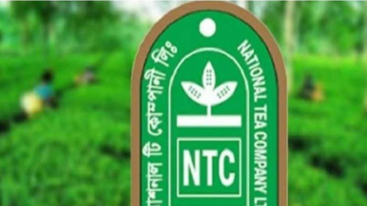 ন্যাশনাল টির প্লেসমেন্ট শেয়ারে সময় বাড়ল আবারও