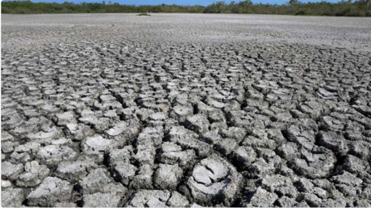 মানবসৃষ্ট উষ্ণতায় অতিরিক্ত ৩০ দিন গরমে ভুগেছে অর্ধেক বিশ্ব