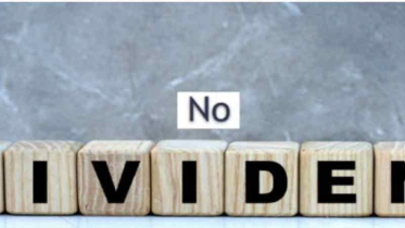 তথ্যপ্রযুক্তির দুই কোম্পানি বিনিয়োগকারীদের হতাশ করেছে