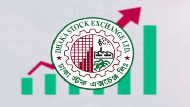 পতনেও অদৃশ্য—৪ কোম্পানি হাতের বাইরে!