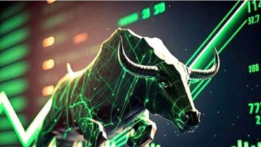 ডিভিডেন্ড নেই, তবু শেয়ারে তুমুল দৌড়!