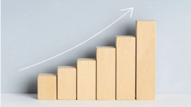 প্রকৌশল খাতের ১৭ কোম্পানিতে বাড়ল প্রাতিষ্ঠানিক বিনিয়োগ