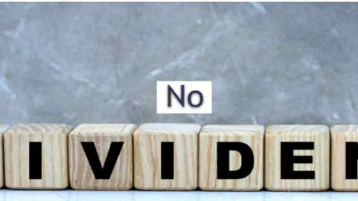 তথ্যপ্রযুক্তির দুই কোম্পানি বিনিয়োগকারীদের হতাশ করেছে