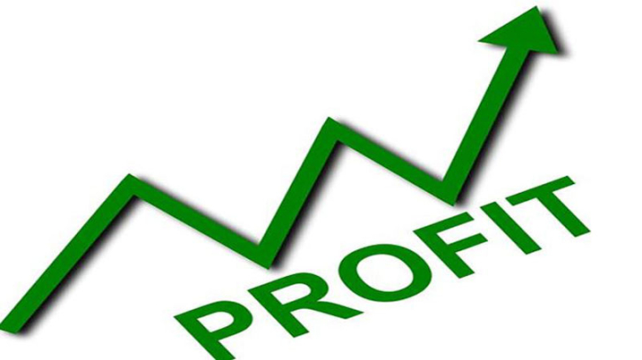 এক বছরে তিন শেয়ারের রেকর্ড মুনাফা—২২৪% পর্যন্ত রিটার্ন!